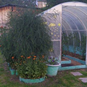 Продается Дом, 53 м²