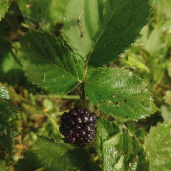 Продается Дом, 70 м²