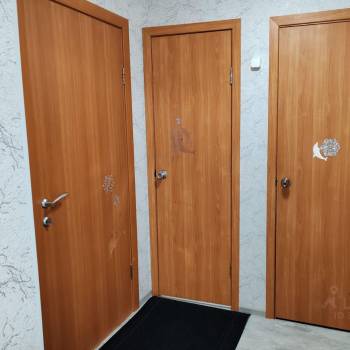 Сдается 1-комнатная квартира, 24,5 м²