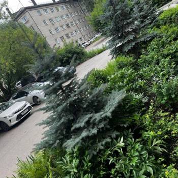 Сдается 2-х комнатная квартира, 57 м²