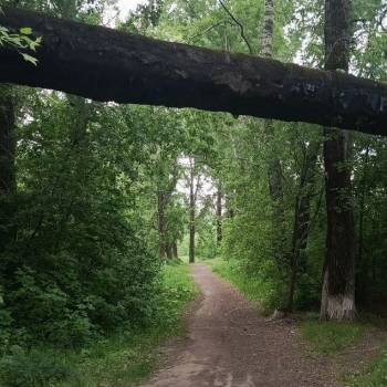 Продается Участок, 1000 м²