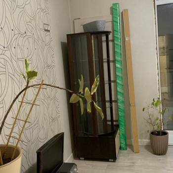 Сдается 2-х комнатная квартира, 49 м²