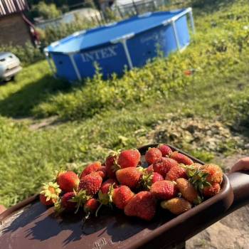 Продается Участок, 500 м²