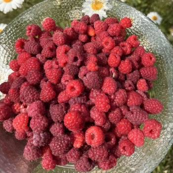 Продается Участок, 500 м²