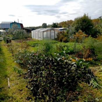 Продается Участок, 290 м²