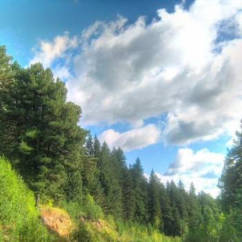 Продается Участок, 3000 м²