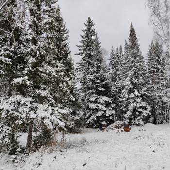 Продается Участок, 1000 м²