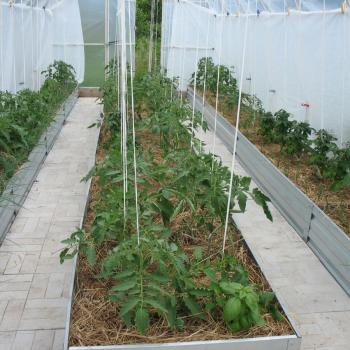 Продается Дом, 68 м²