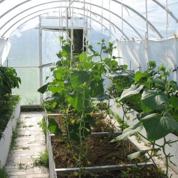 Продается Дом, 68 м²