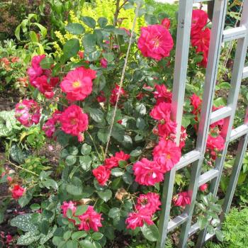 Продается Дом, 68 м²