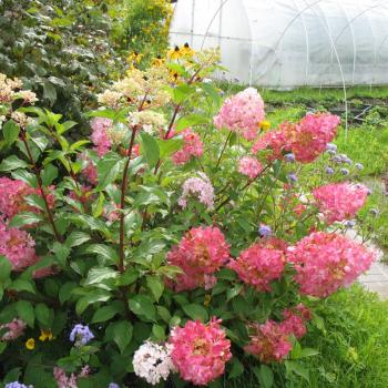 Продается Дом, 68 м²