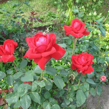 Продается Дом, 68 м²