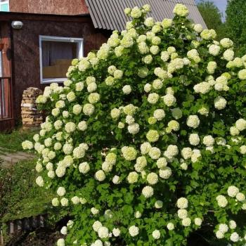 Продается Дом, 68 м²