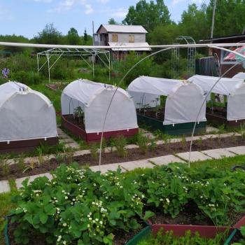 Продается Дом, 68 м²