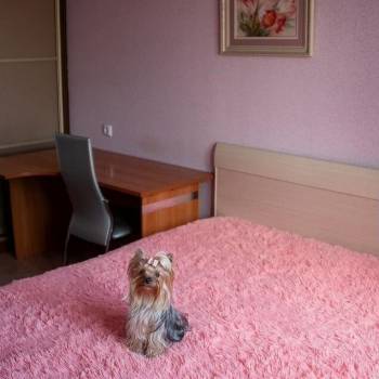 Сдается Многокомнатная квартира, 81 м²