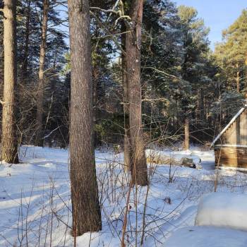 Продается Дом, 50 м²