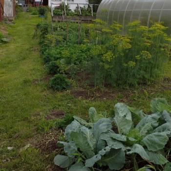 Продается Участок, 1000 м²