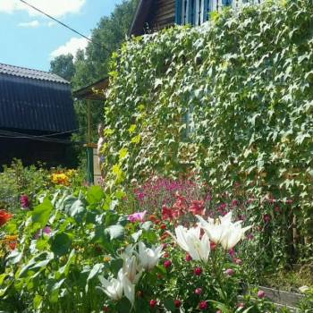 Продается Дом, 40 м²