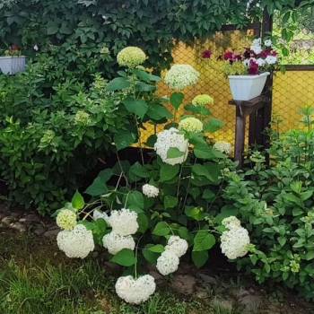 Продается Дом, 35 м²