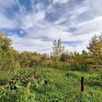 Продается Участок, 1000 м²