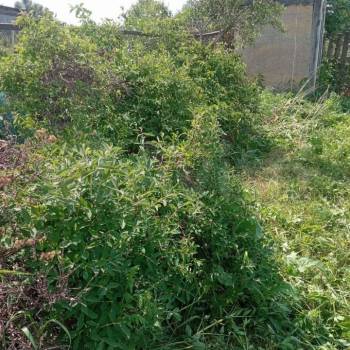 Продается Участок, 600 м²