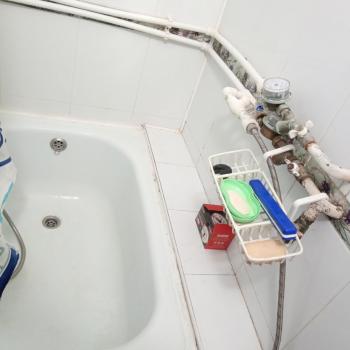 Сдается 1-комнатная квартира, 12,4 м²