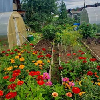 Продается Дом, 20 м²