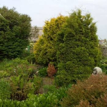 Продается Участок, 1000 м²