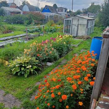 Продается Дом, 25 м²