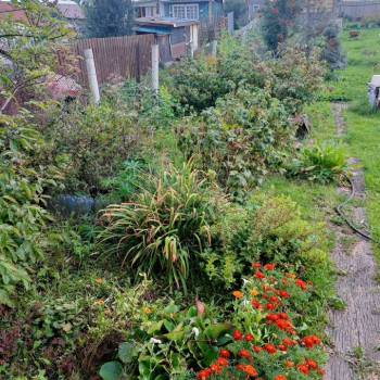 Продается Дом, 25 м²