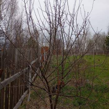 Продается Участок, 600 м²