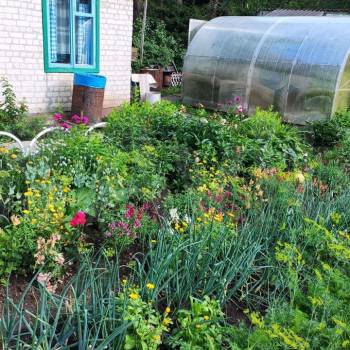 Продается Дом, 46 м²