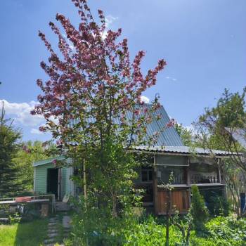 Продается Дом, 50 м²