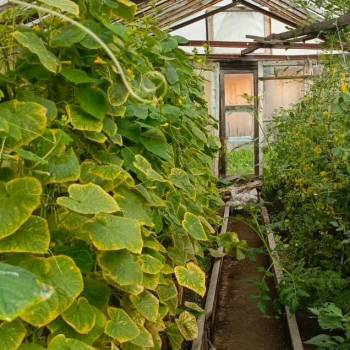 Продается Дом, 15 м²