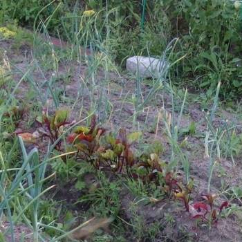 Продается Дом, 24 м²