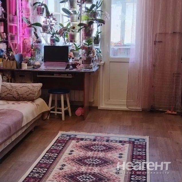 Фотография №3