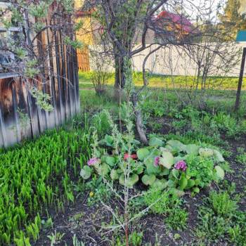 Продается Дом, 10 м²