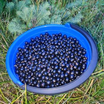 Продается Дом, 10 м²