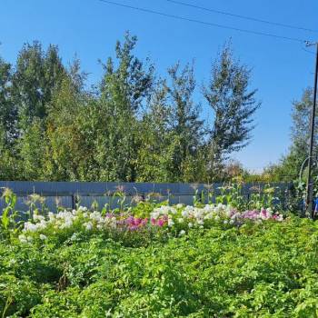 Продается Участок, 500 м²