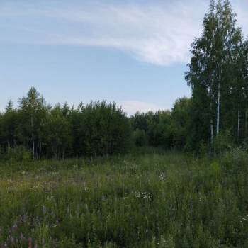 Продается Участок, 2000 м²