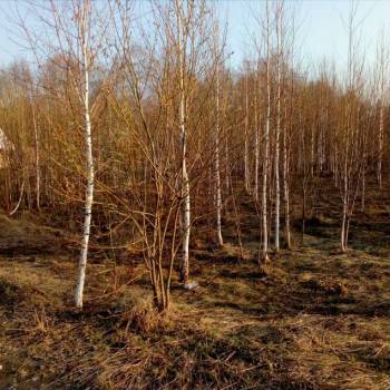 Продается Участок, 1200 м²