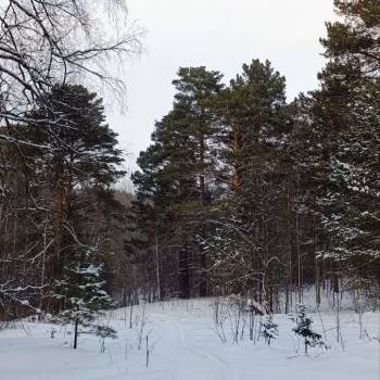 Продается Участок, 3450 м²