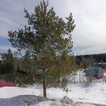 Продается Участок, 1760 м²