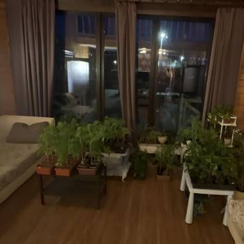 Сдается 2-х комнатная квартира, 52 м²