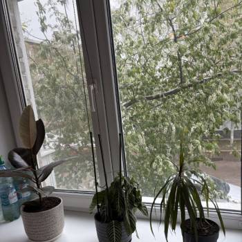 Продается 3-х комнатная квартира, 55,8 м²