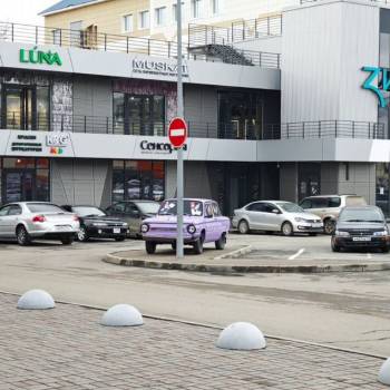 Сдается Нежилое помещение, 51,3 м²