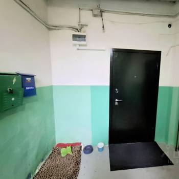 Сдается 2-х комнатная квартира, 45 м²