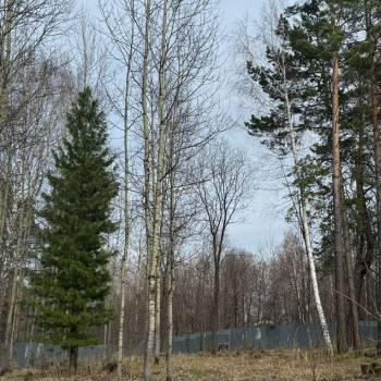 Продается Участок, 1050 м²