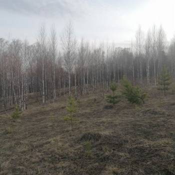 Продается Участок, 1200 м²