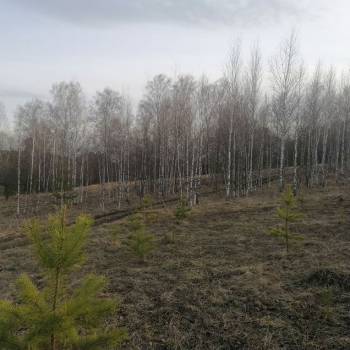 Продается Участок, 1200 м²